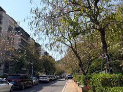 -小南山公园