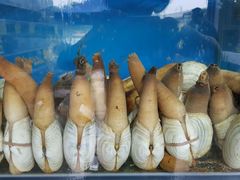 -蚝专家(北滘店)