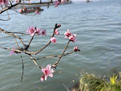 -浙江西子宾馆·牡丹厅