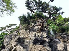 -何园