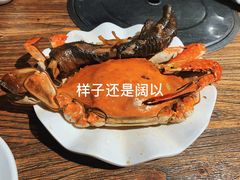 -老号尤兔头(幸福店)