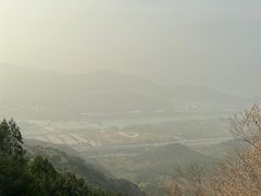 -美利达自行车(霁月园店)