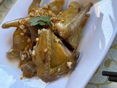 -百利鸽王(紫薇路店)