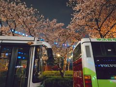 -上海南浦大桥长途旅游客运站