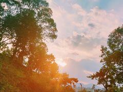 -飞凤山奥体公园