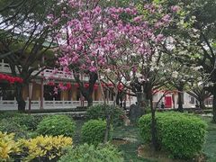 -广东圆玄道观
