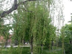 android_upload_pic-北京市海淀外国语实验学校