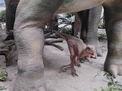 -国家自然博物馆