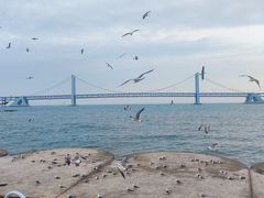 -星海广场