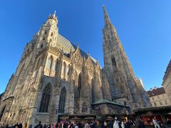 -斯蒂芬主教座堂(Stephansdom)