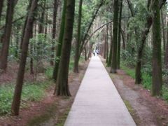 -同里国家湿地公园