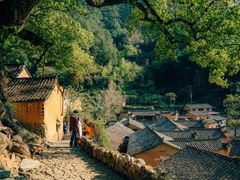 -杨家堂村