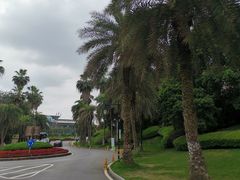 -圣爵菲斯大酒店(长沙世界之窗店)
