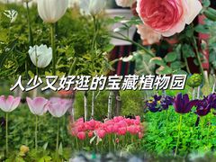 -国家植物园