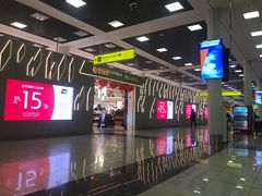 -谢列梅捷沃国际机场