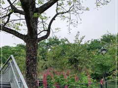 -佛山华盖山公园