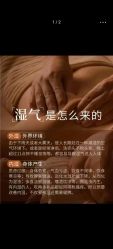 -金美秀养生瘦身