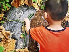 -万源龙顺度假庄园生态观光园