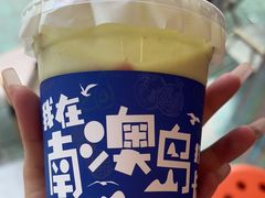 -南澳岛打卡果汁冰公司