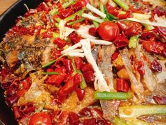 -老板恋上鱼(恒隆广场店)