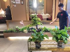 -宏宴·新京菜(望京店)