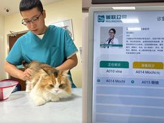 -美联众合动物医院·24h转诊中心