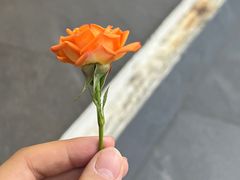 -大青树咖啡(大理古城店)