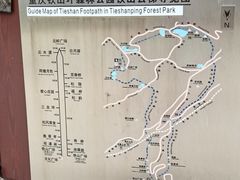 -铁山坪森林公园