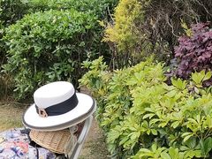 -府河摄影公园
