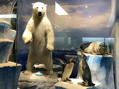 -国家自然博物馆