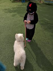 -萌宠亲子动物乐园(槐房万达店)