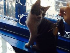 iphone_upload_pic-Sirena海妖日咖夜酒