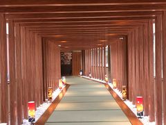 -重庆南山海昌汤都