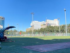 -中央民族大学