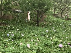 -西海子公园