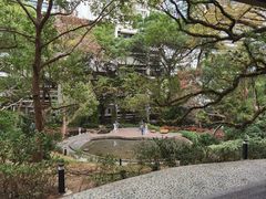 -香港大学