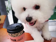 -香奈儿嘉柏丽尔香水展