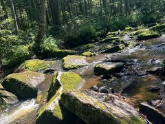 -汤旺河林海奇石景区