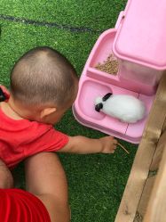 -萌宠亲子动物乐园(槐房万达店)