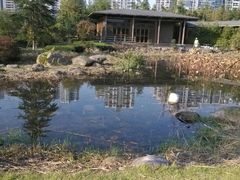 android_upload_pic-白塘生态植物园