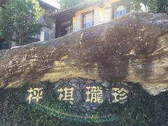 -天龙八部武侠城