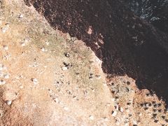 -外伶仃岛海鲜市场