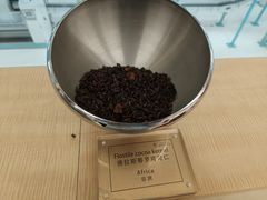 -歌斐颂巧克力小镇