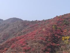 -水峪民俗村