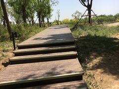 -东郊湿地公园