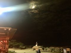 景点-老虎石海上公园