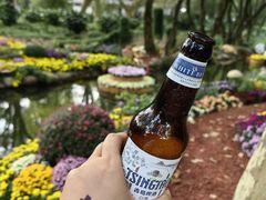 -上海共青森林公园