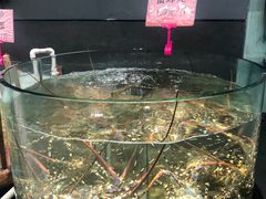 -九號渔港·蒸汽海鲜·粤菜茶点(八卦岭店)