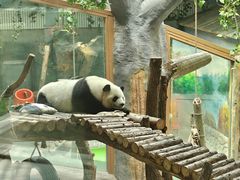 -青藏高原野生动物园