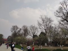 -秀丽东方